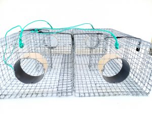 31 NCBM50R2 (lot de 2) https:/mardesa.fr/produit/lot-de-2-nasses-a-crabes-bleus-frais-de-port-offerts