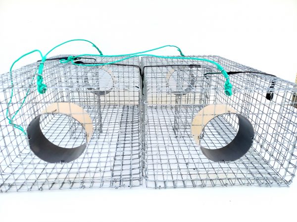 https:/mardesa.fr/produit/lot-de-2-nasses-a-crabes-bleus-frais-de-port-offerts